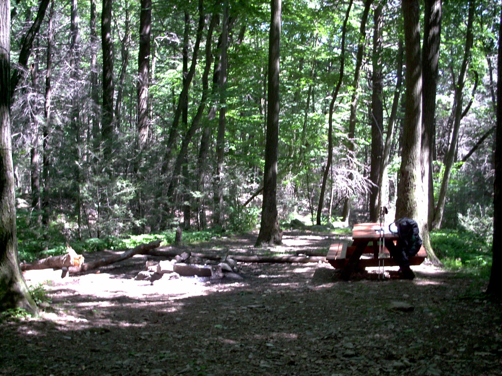 mm 3.7 - The picnic table and fire ring at Hertlein campsite. There are two tent sites in the background and two more across the small creek to the right.  Courtesy stewartriley@earthlink.net